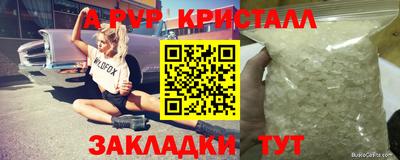 apvp Тверь